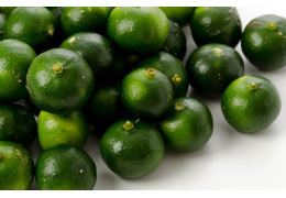 Le Citrus depressa Hayata : Un Trésor Ancestral des Îles Ryukyu