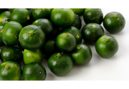 Le Citrus depressa Hayata : Un Trésor Ancestral des Îles Ryukyu