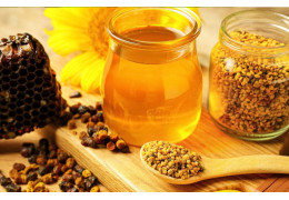 Les Produits de la Ruche : Trésors Naturels aux Bienfaits Multiples