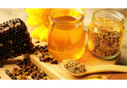 Les Produits de la Ruche : Trésors Naturels aux Bienfaits Multiples