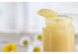 La Gelée Royale : Un Amplificateur Naturel de Nutriments ?