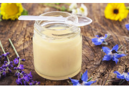 La Gelée Royale : Un Trésor Naturel aux Multiples Vertus