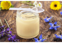 La Gelée Royale : Un Trésor Naturel aux Multiples Vertus